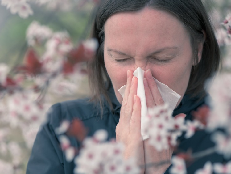 Jakie pyłki wywołują alergię wiosną? Co stosować na katar alergiczny?